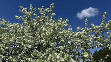 Similar image 22637189