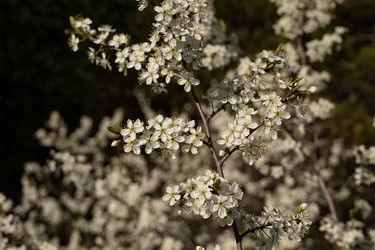 Similar image 22637191