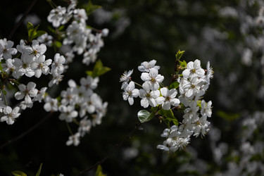 Similar image 22637201