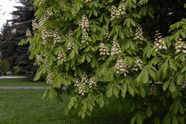 Similar image 22637202