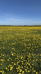 Similar image 22637204