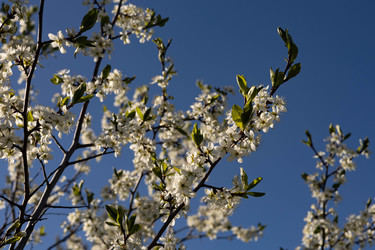 Similar image 22637205