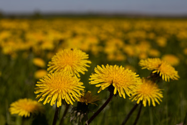 Similar image 22637206