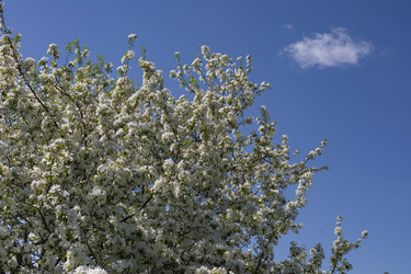 Similar image 22637217