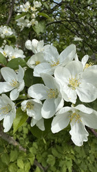 Similar image 22637218