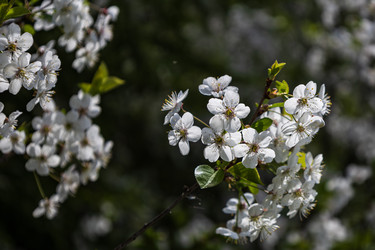 Similar image 22637219