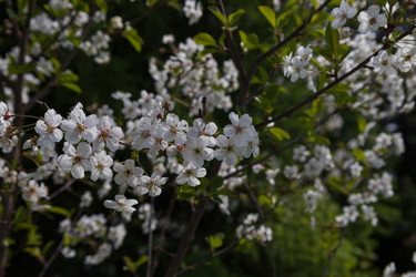 Similar image 22637220