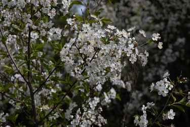 Similar image 22637221