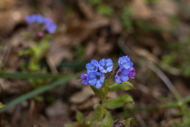 Similar image 22637222