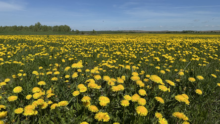 Similar image 22637223