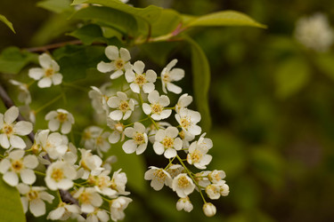 Similar image 22637230