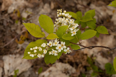 Similar image 22637231