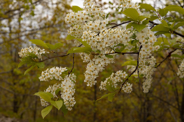 Similar image 22637232