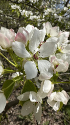 Similar image 22637233