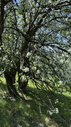 Similar image 22637234