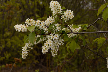 Similar image 22637235