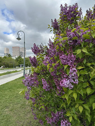 Similar image 22637236