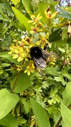 Similar image 22637237