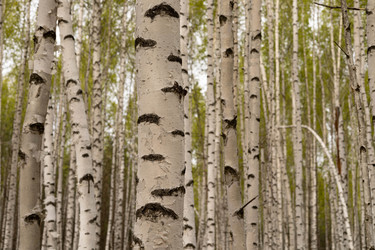 Similar image 22637238