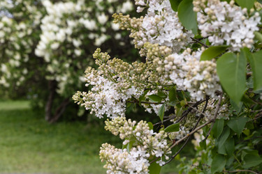 Similar image 22637243