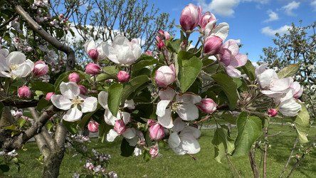 Similar image 22637244