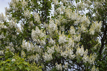 Similar image 22637245