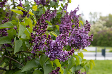 Similar image 22637246