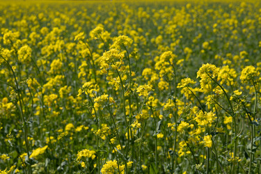 Similar image 22637247