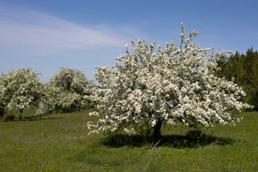 Similar image 22637248