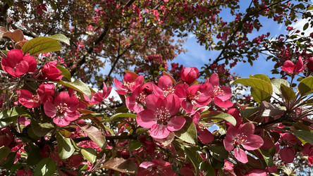 Similar image 22637250