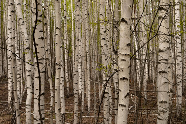 Similar image 22637257