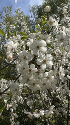 Similar image 22637258