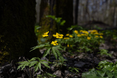 Similar image 22637259