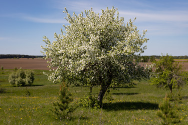 Similar image 22637260