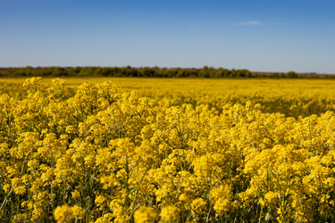 Similar image 22637261