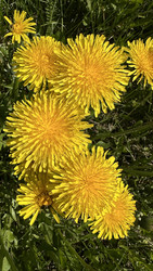 Similar image 22637262