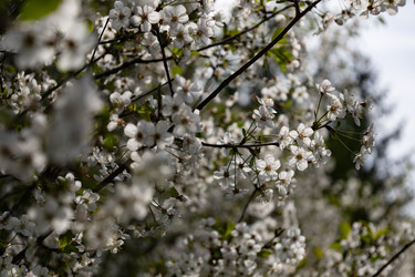 Similar image 22637263