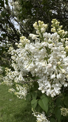 Similar image 22637264