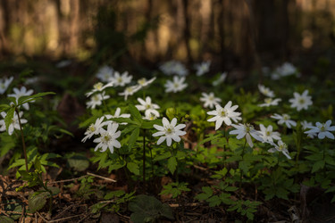 Similar image 22637265