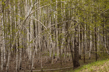 Similar image 22637266