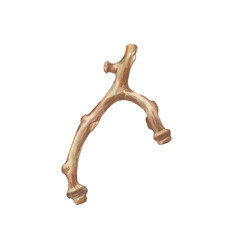 Similar image 22637761