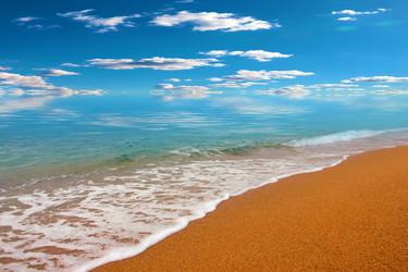 Similar image 22634699