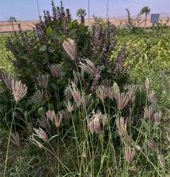 Similar image 22636001