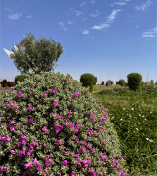 Similar image 22636002