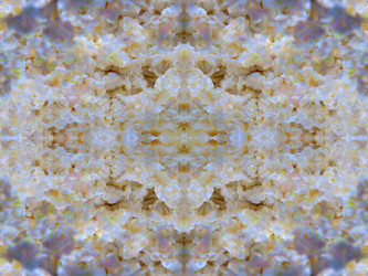 Similar image 22644533