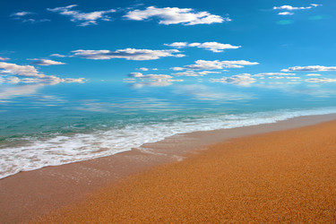 Similar image 22634823