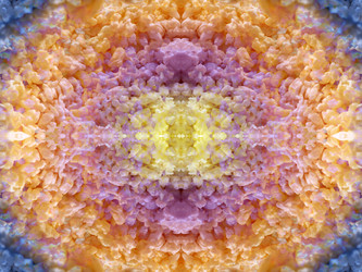 Similar image 22644546