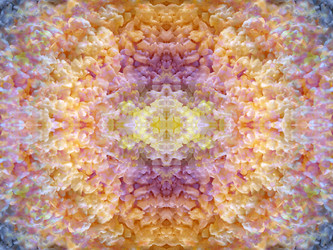 Similar image 22644547