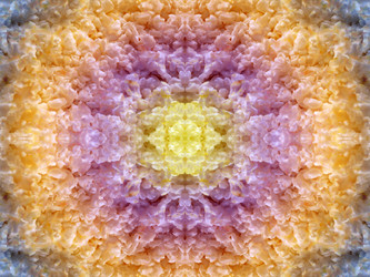 Similar image 22644591