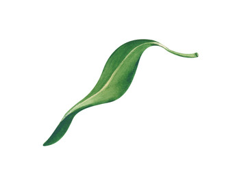 Similar image 22637741